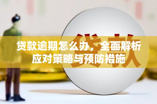 大邑贷款逾期怎么办，全面解析应对策略与预防措施