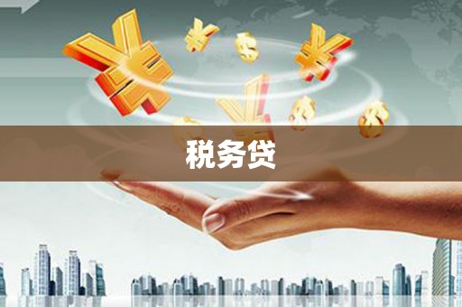 连州税务贷