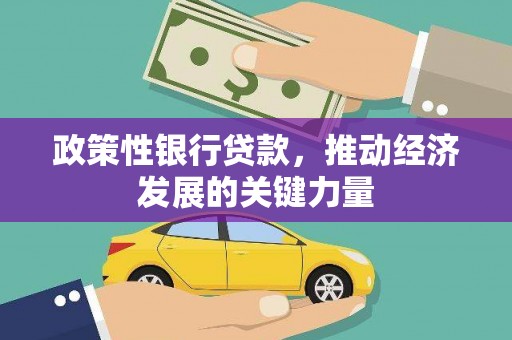 沿滩政策性银行贷款，推动经济发展的关键力量