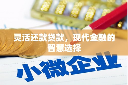 道滘灵活还款贷款，现代金融的智慧选择