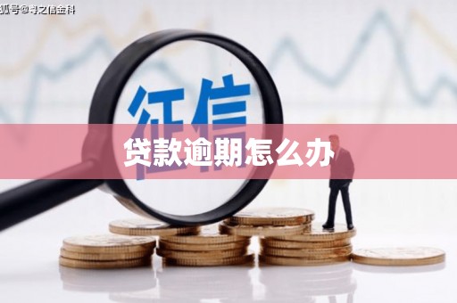海安贷款逾期怎么办