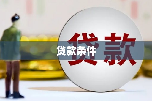 新和贷款条件