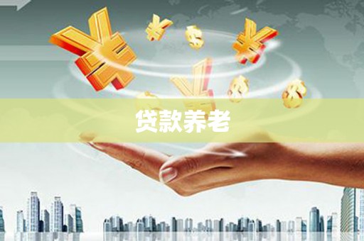 丹棱贷款养老