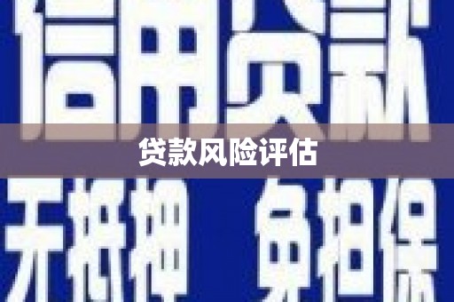 大渡口贷款风险评估
