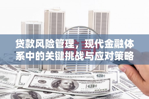 灯塔贷款风险管理，现代金融体系中的关键挑战与应对策略