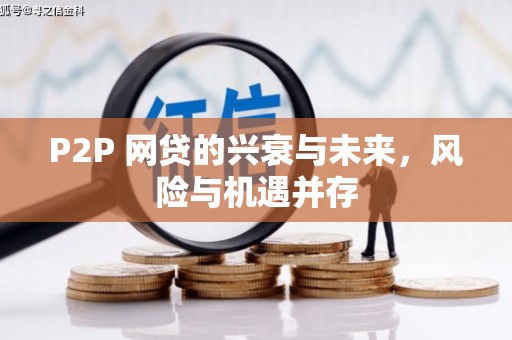 射阳P2P 网贷的兴衰与未来，风险与机遇并存