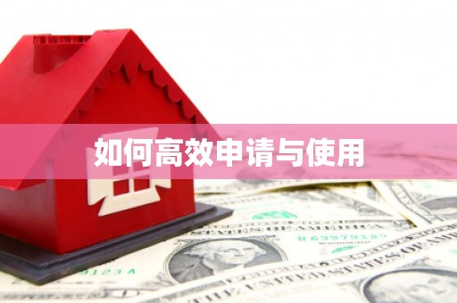 汉源如何高效申请与使用