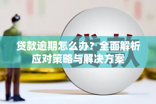 太麻里贷款逾期怎么办？全面解析应对策略与解决方案