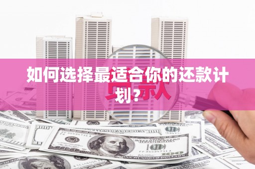 盐山如何选择最适合你的还款计划？