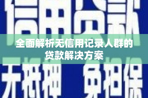 盐埕全面解析无信用记录人群的贷款解决方案