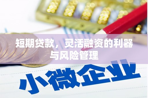 洋县短期贷款，灵活融资的利器与风险管理